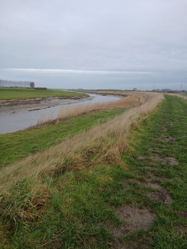 River Douglas on route of walk